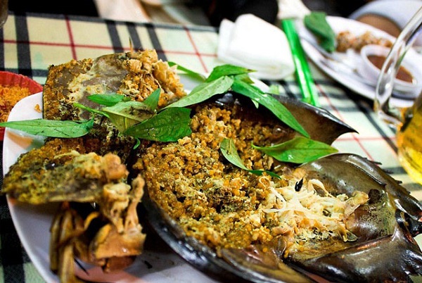 Sam biển - món ăn đặc sản nổi tiếng ở Hạ Long phải thử 1 lần | Viet Fun  Travel