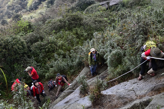 gia ve cap treo fansipan o sapa