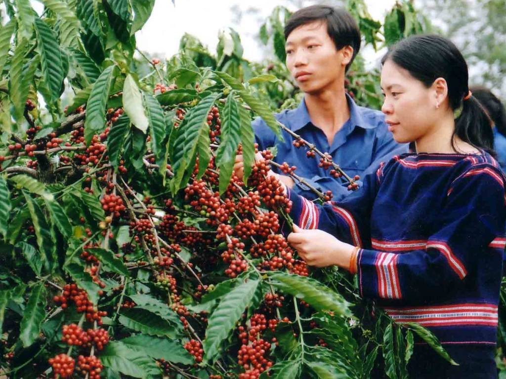 nhung kinh nghiem du lich bui da lat 3 ngay 2 dem