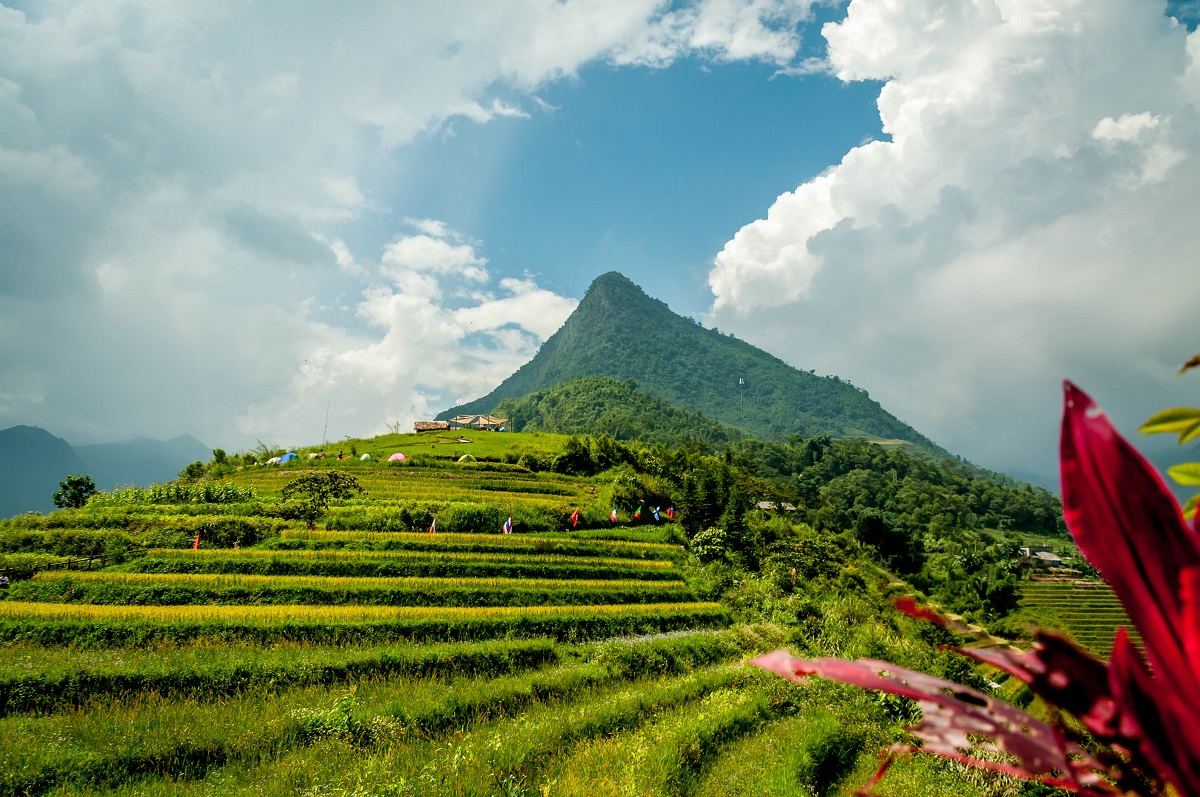 dia chi fansipan noc nha dong duong nam o dau