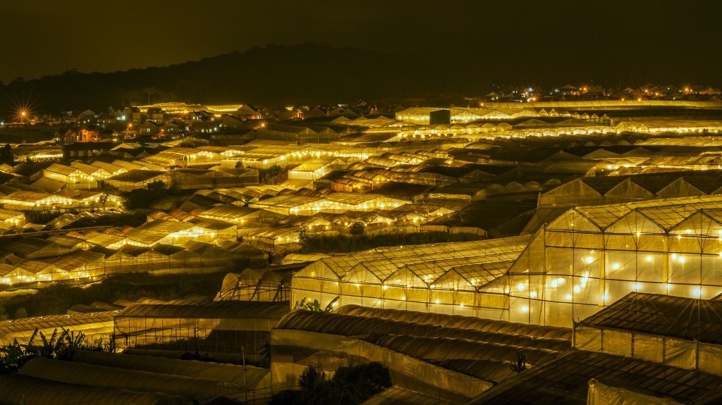 buoi toi o da lat nen di choi o dau