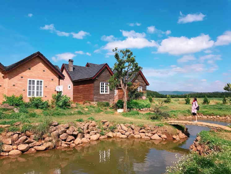 gioi thieu trang trai bo sua da lat milk farm