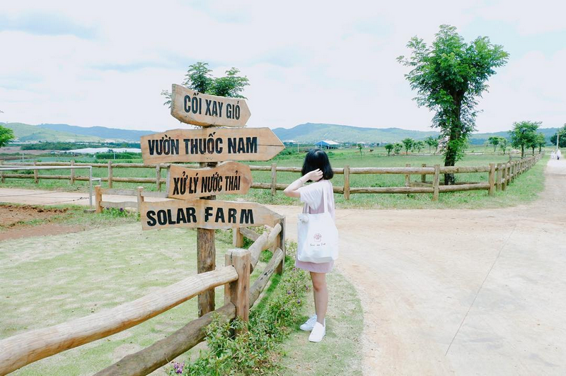 gia ve tham quan trang trai da lat milk farm