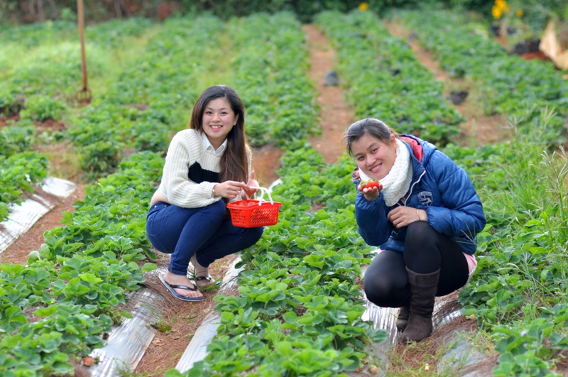 nhung dia diem du lich dep o da lat