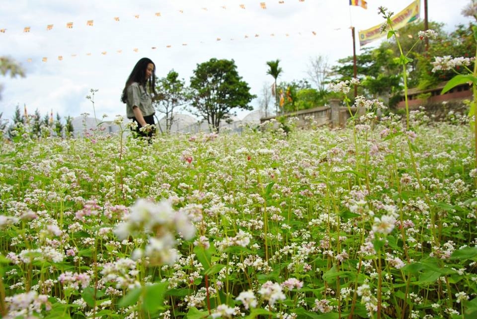 nhung dia diem du lich dep o da lat