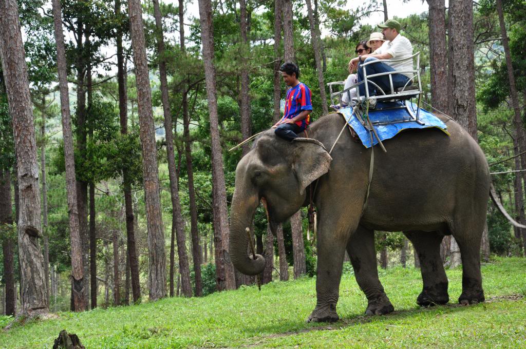 tham quan doi mong mo o da lat