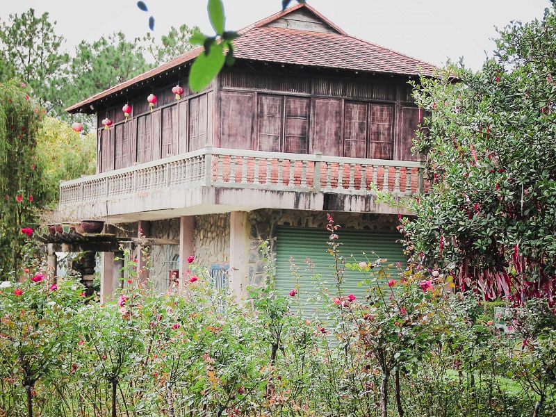 doi mong mo co gi choi