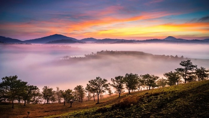 gioi thieu ve khu du lich ho suoi vang da lat