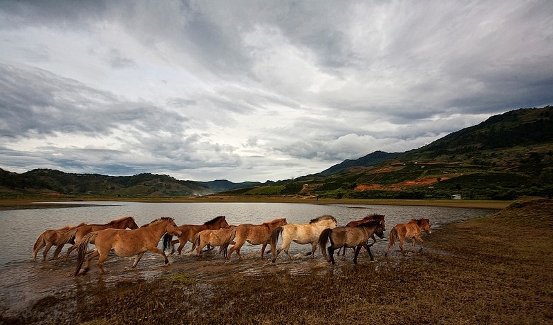 gioi thieu ve khu du lich ho suoi vang da lat