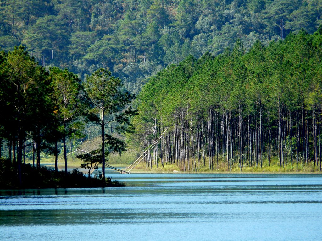 ho tuyen lam da lat co gi choi