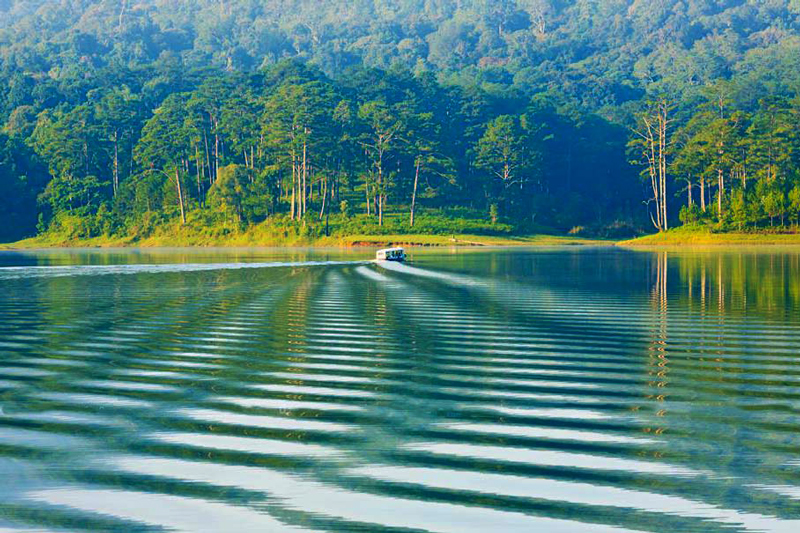 ho tuyen lam da lat co gi choi