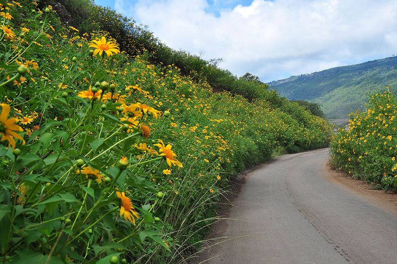 tour du lich da lat