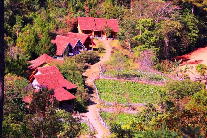 lang cu lan cach da lat bao xa