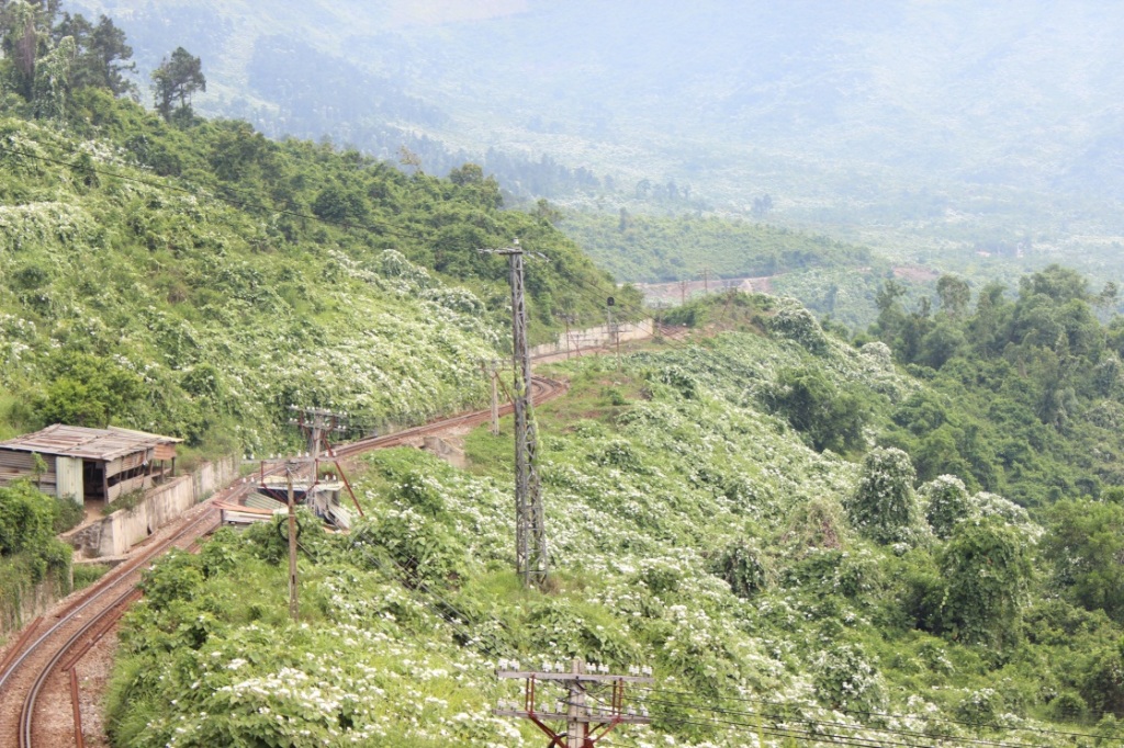 nhung dia diem du lich dep o da nang