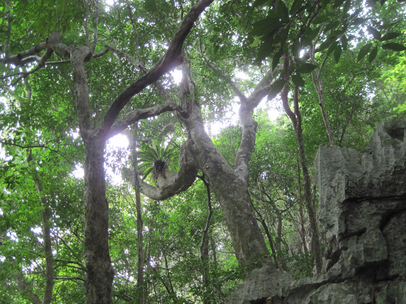 nhung dia diem du lich o ha long