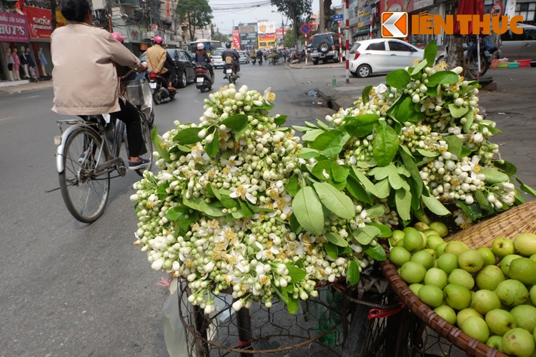 du lich ha Noi 12 thang co gi