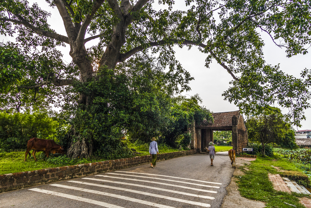 nhung dia diem du lich ngoai thanh Ha Noi