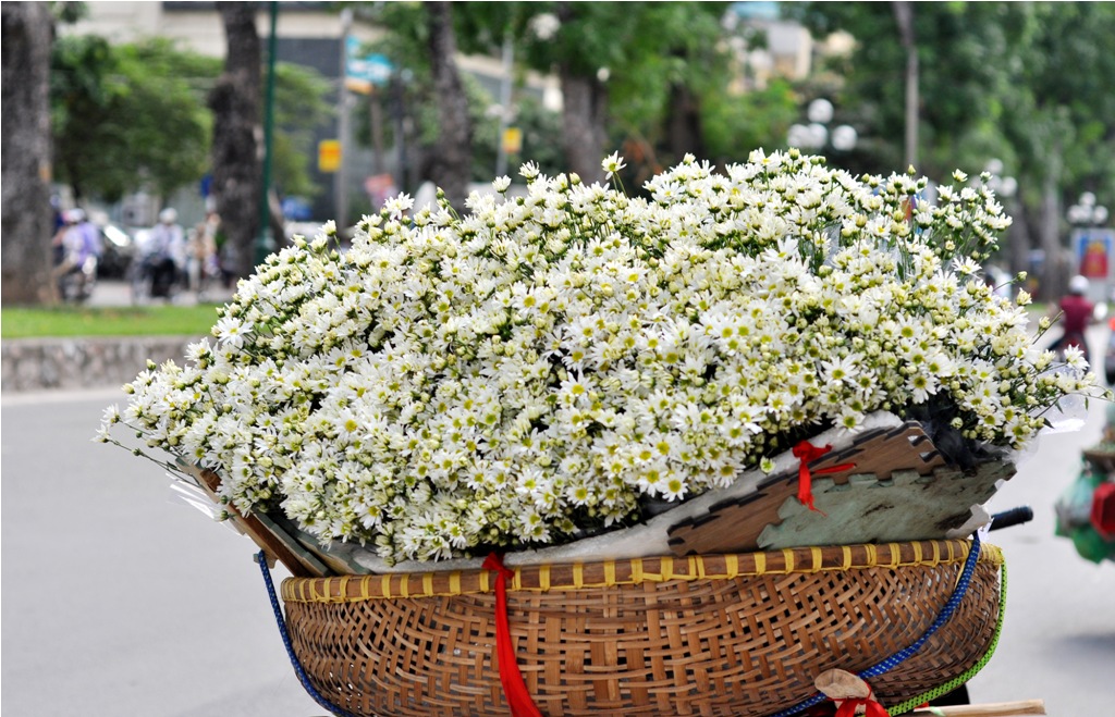 tour du lich ha noi 3 ngay 2 dem