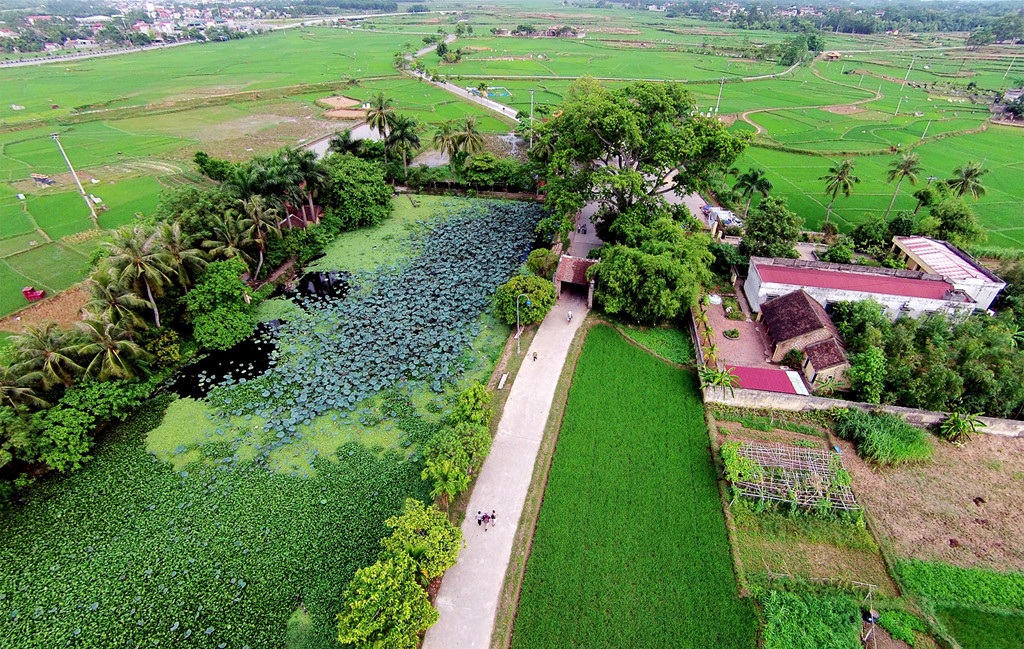 kinh nghiem di lang co duong lam