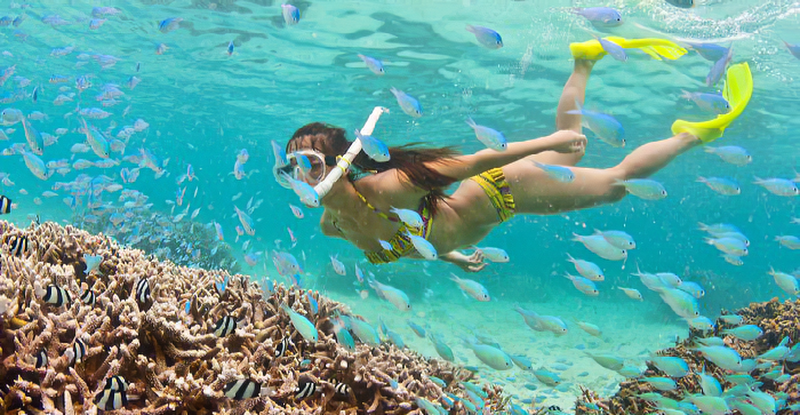 Rạn san hô ở Côn Đảo thu hút nhiều du khách đến lặn biển ngắm cảnh.