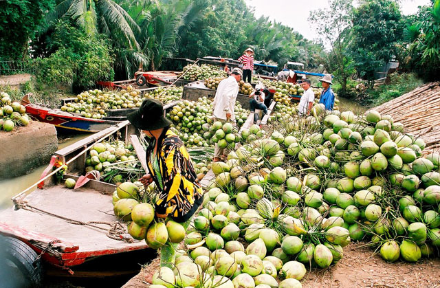 Tour du lịch Bến Tre 2022