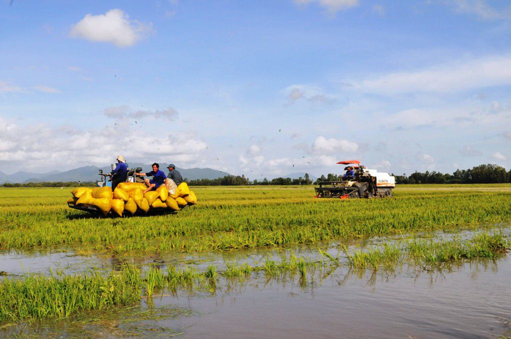 kenh vinh te o an giang