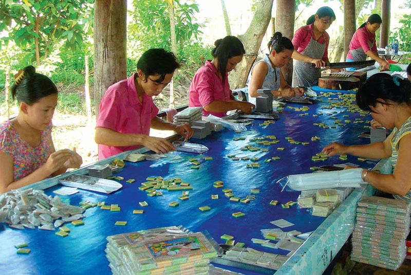 nhung vuon trai cay noi tieng o ben tre