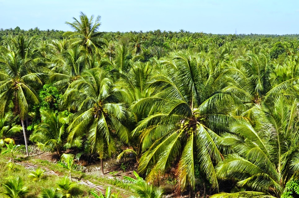 huong dan duong di tu tphcm den ben tre nhanh nhat