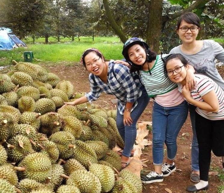 miet vuon cai be o tien giang