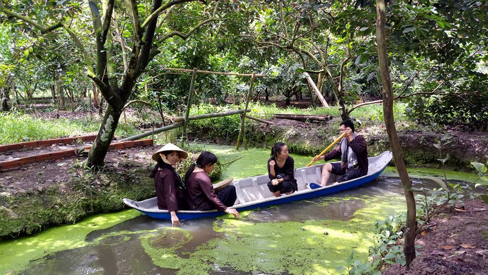 nhung khu vuon trai cay mien phi o can tho