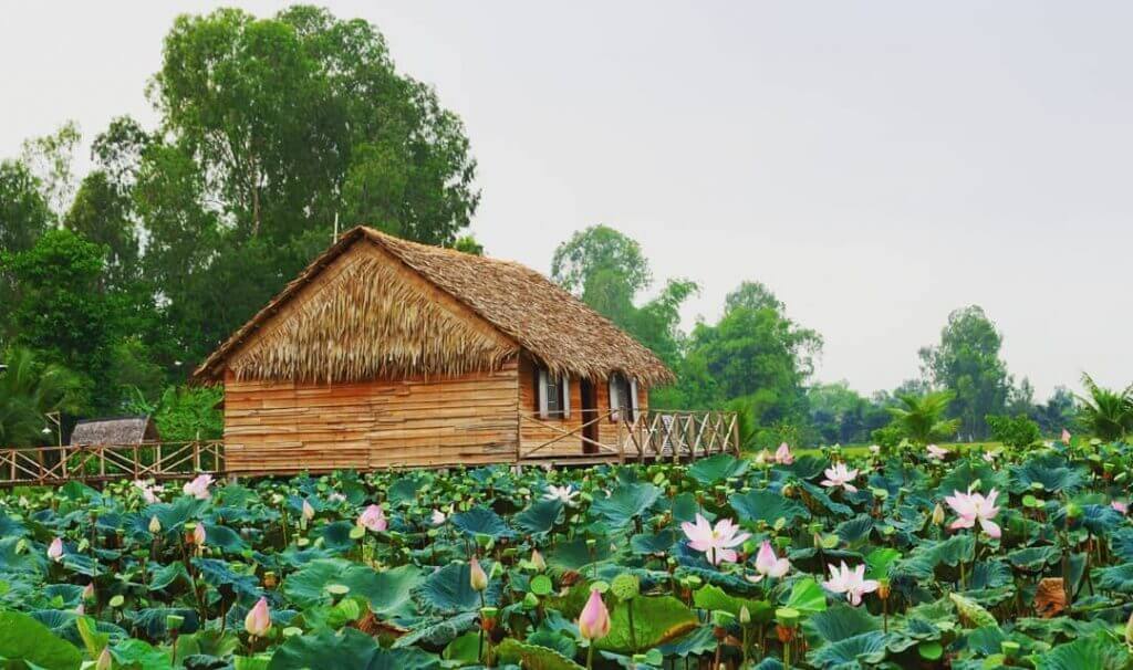 Đên trải nghiệm tại 5 khu du lịch sinh thái ở Đồng Tháp Mười năm 2021 | Viet Fun Travel