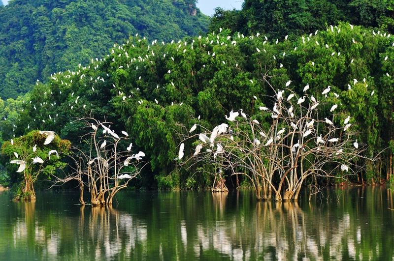 cam nang di du lich ben tre