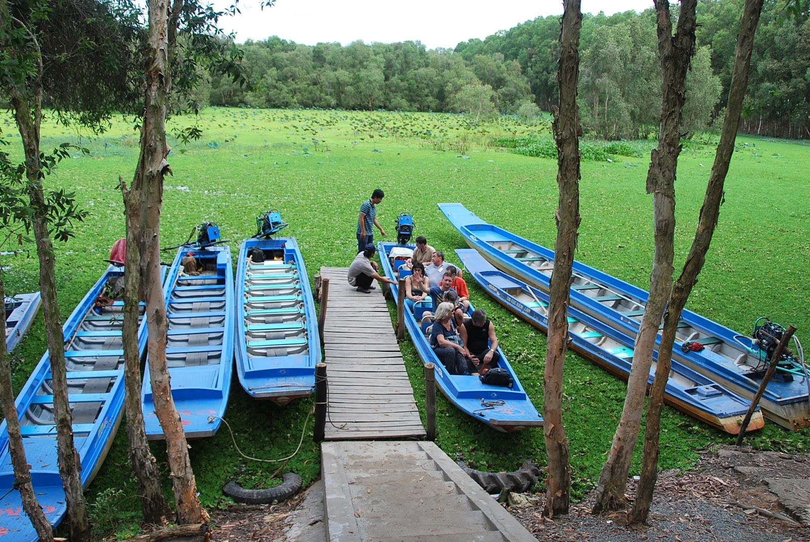 nhung kinh nghiem du lich rung tram tra su an giang