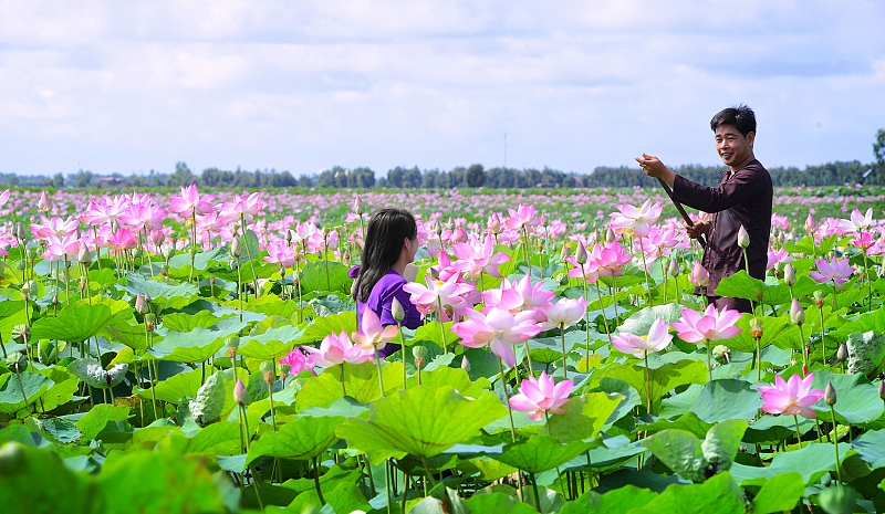 các khu du lich sinh thai o mien tay