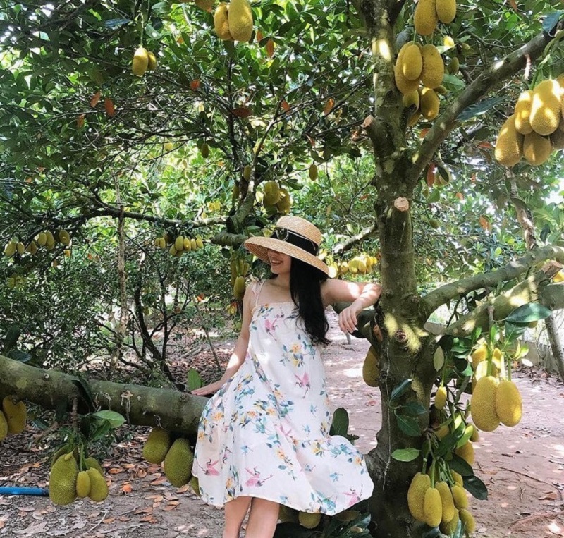 nhung cam nang du lich vuon trai cay vinh kim 