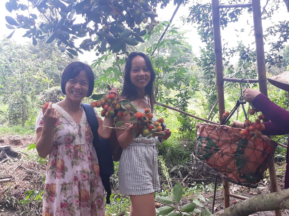 vuon trai cay cai mon o cho lach ben tre