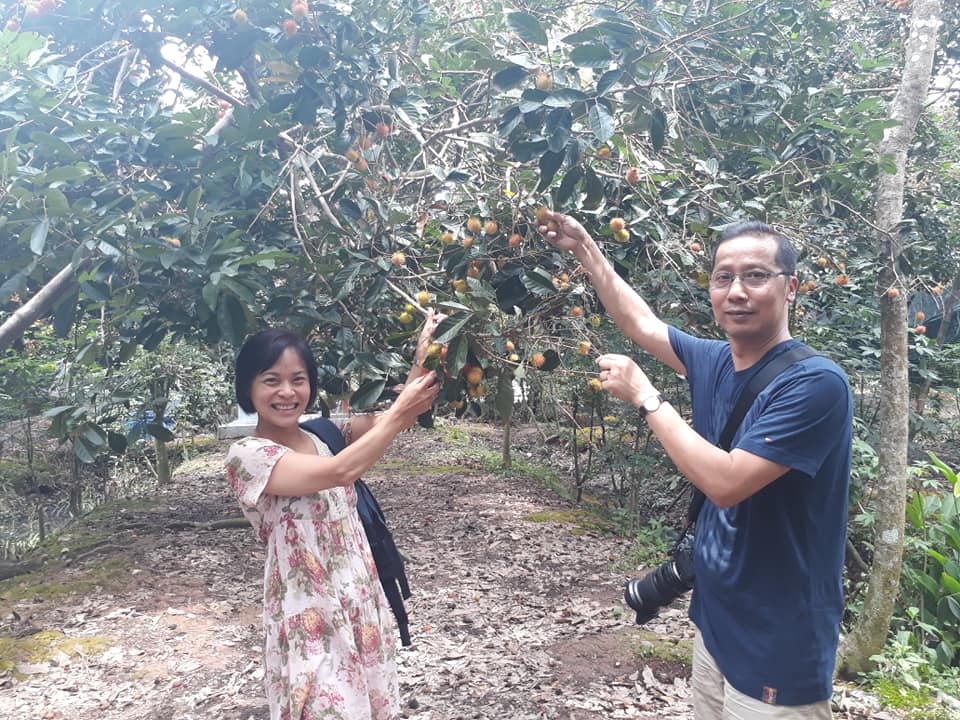 vuon trai cay cai mon o cho lach ben tre