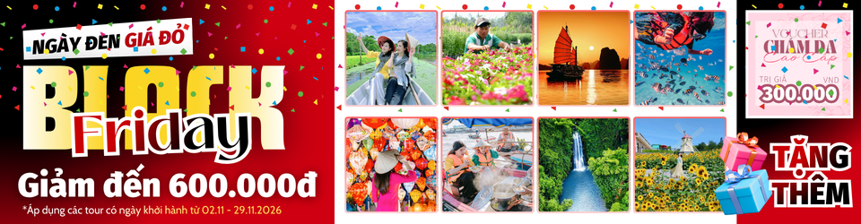 TOUR DU LỊCH BLACK FRIDAY