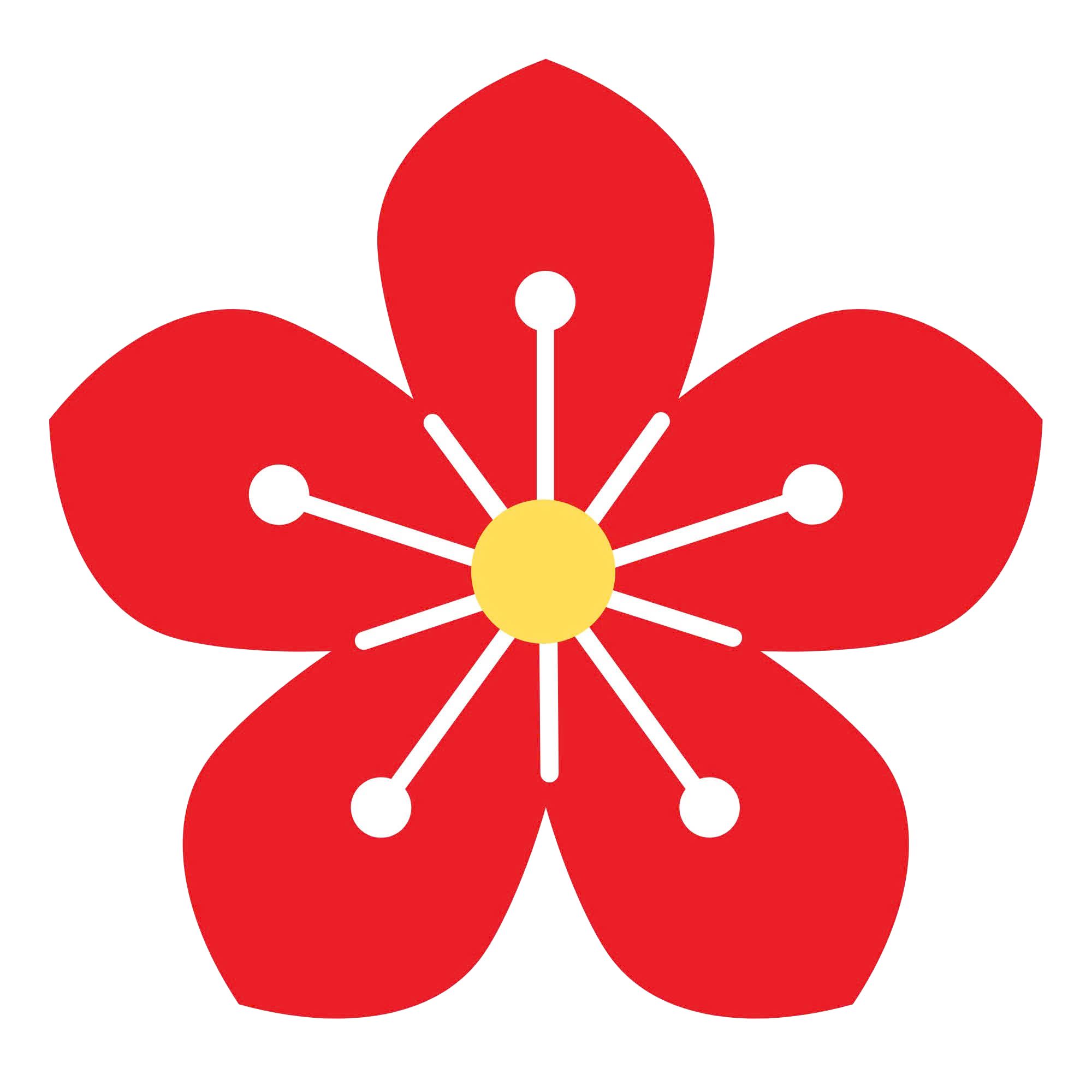 TẾT DƯƠNG LỊCH 2025