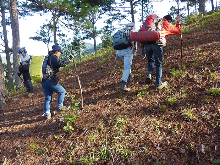 nhung kinh nghiem khi di du lich langbiang da lat