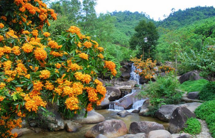 khu du lich suoi hoa da nang