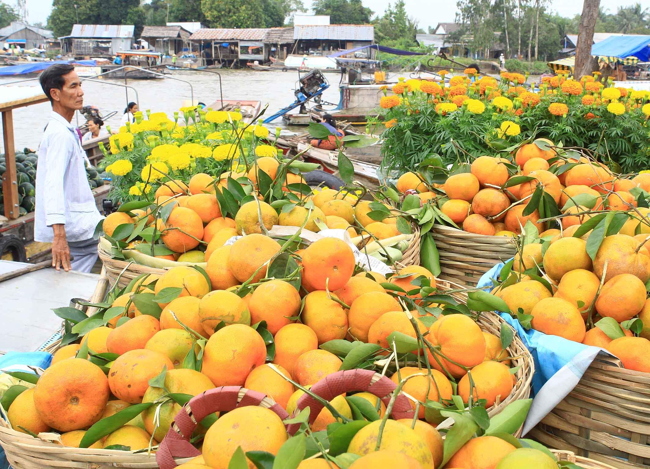 đi Cần Thơ mùa nào đẹp? du khách đã biết chưa?