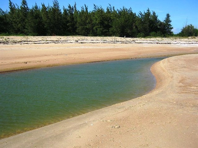 bien suoi o o vung tau