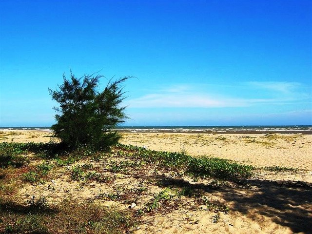 kinh nghiem di du lich vung tau 2 ngay 1 dem