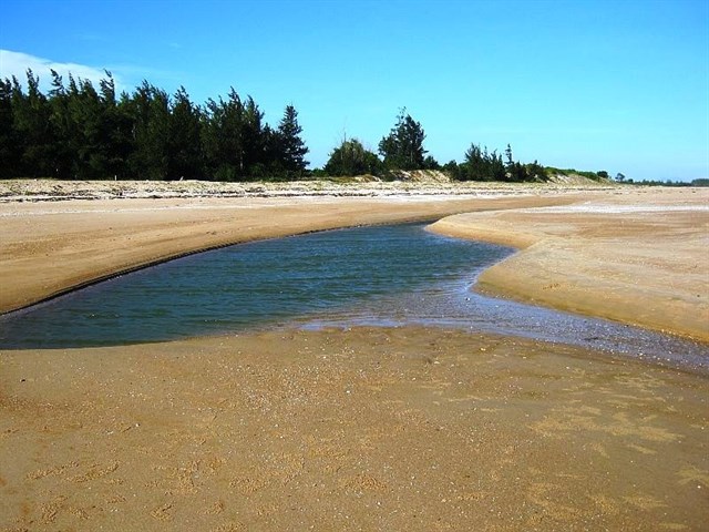 bien suoi o o vung tau