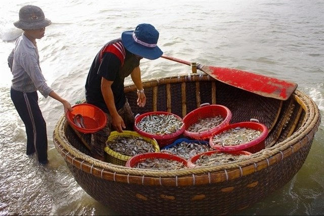 bien suoi o o vung tau