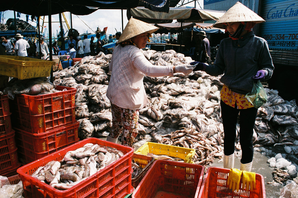 di du lich vung tau co gi choi