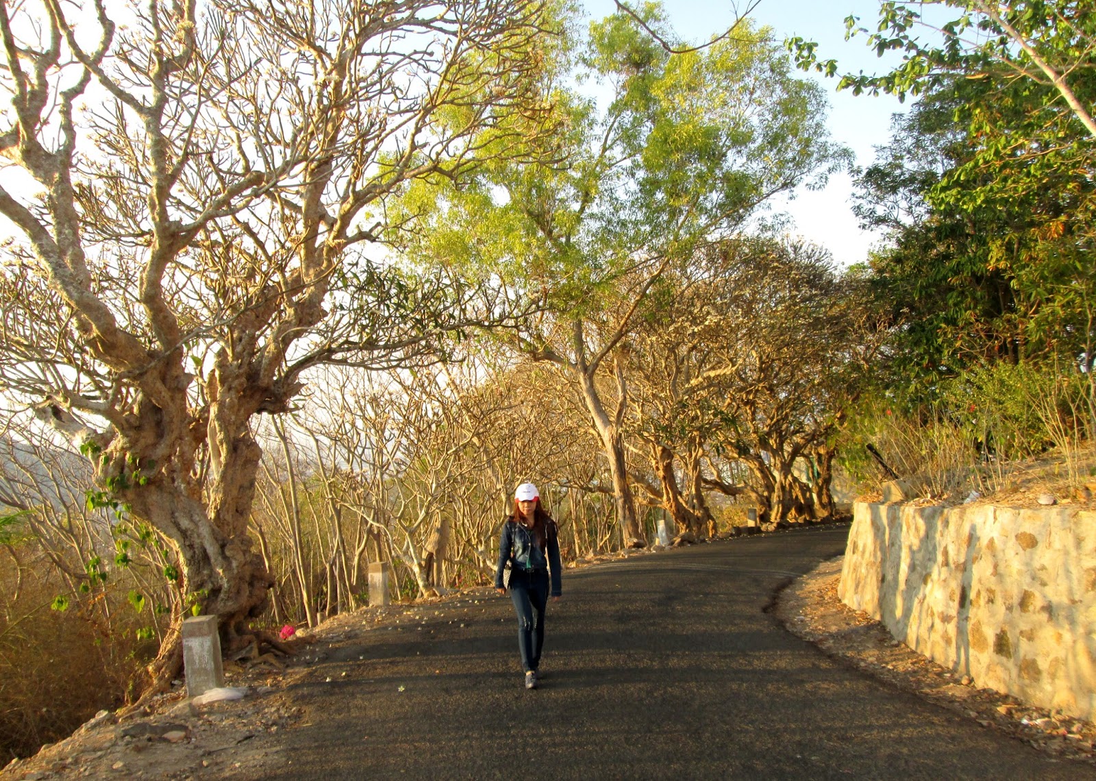 ngon hai dang o vung tau