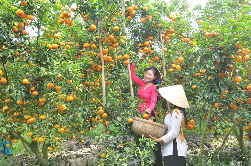 khu du lich sinh thai tu phuong that dao vung tau