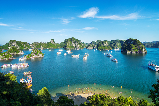 tour du lich ha long tet nguyen dan